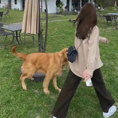 王朝消亡