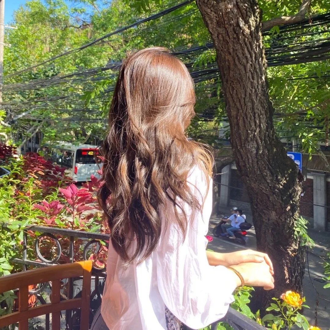 杏苑风流