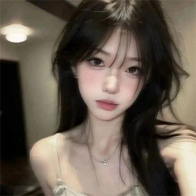 凤凰号